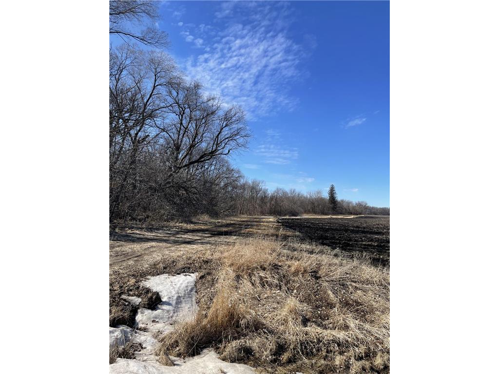 2 Grain Avenue Silver Lake MN 55381 6675167 image1