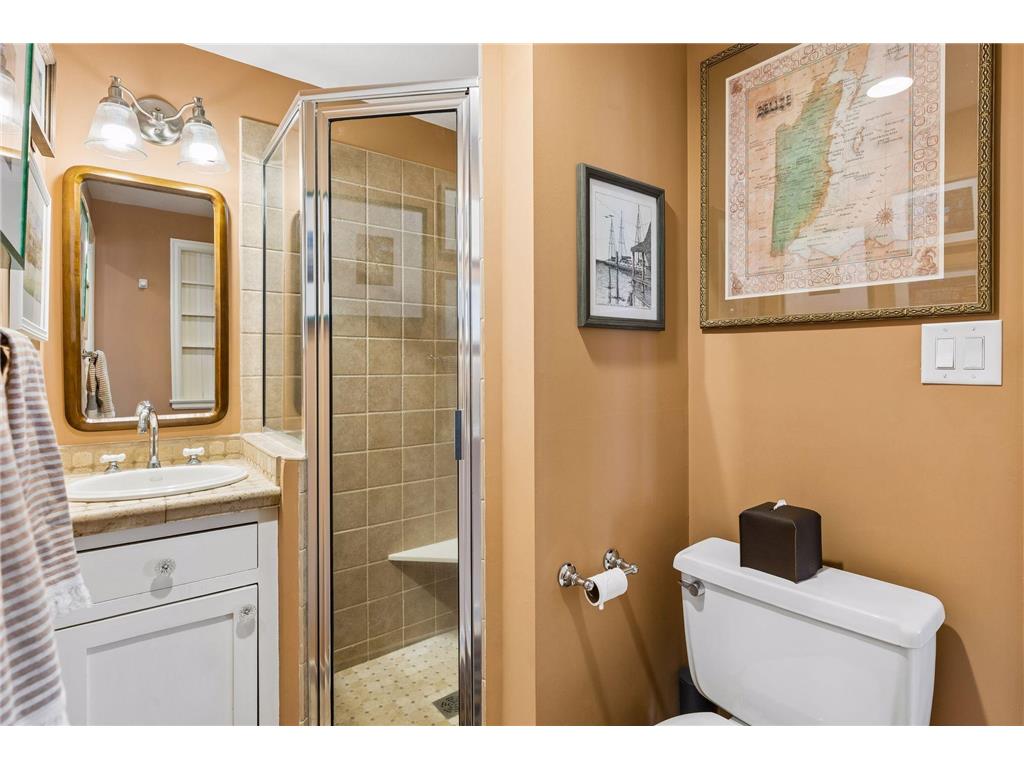 2 1/2 Webster Place Hopkins MN 55305 7041393 image12