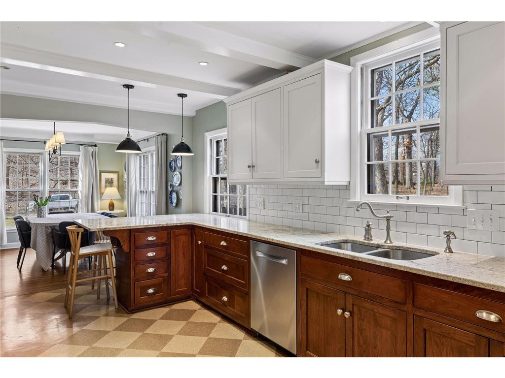 2 1/2 Webster Place Hopkins MN 55305 7041393 image20