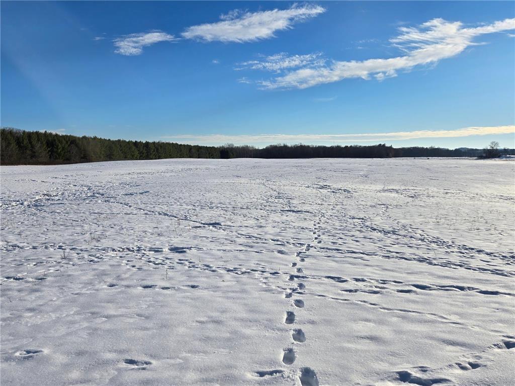 20.05 Acres County Road N Hay River Twp WI 54772 7014032 image1