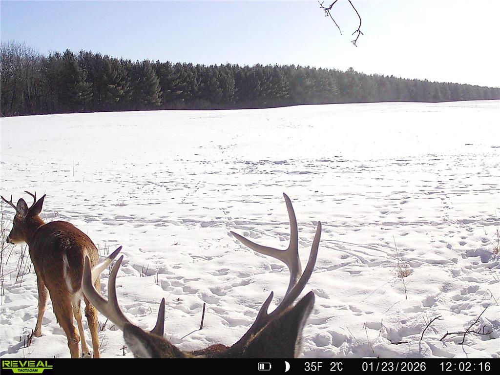 20.05 Acres County Road N Hay River Twp WI 54772 7014032 image10