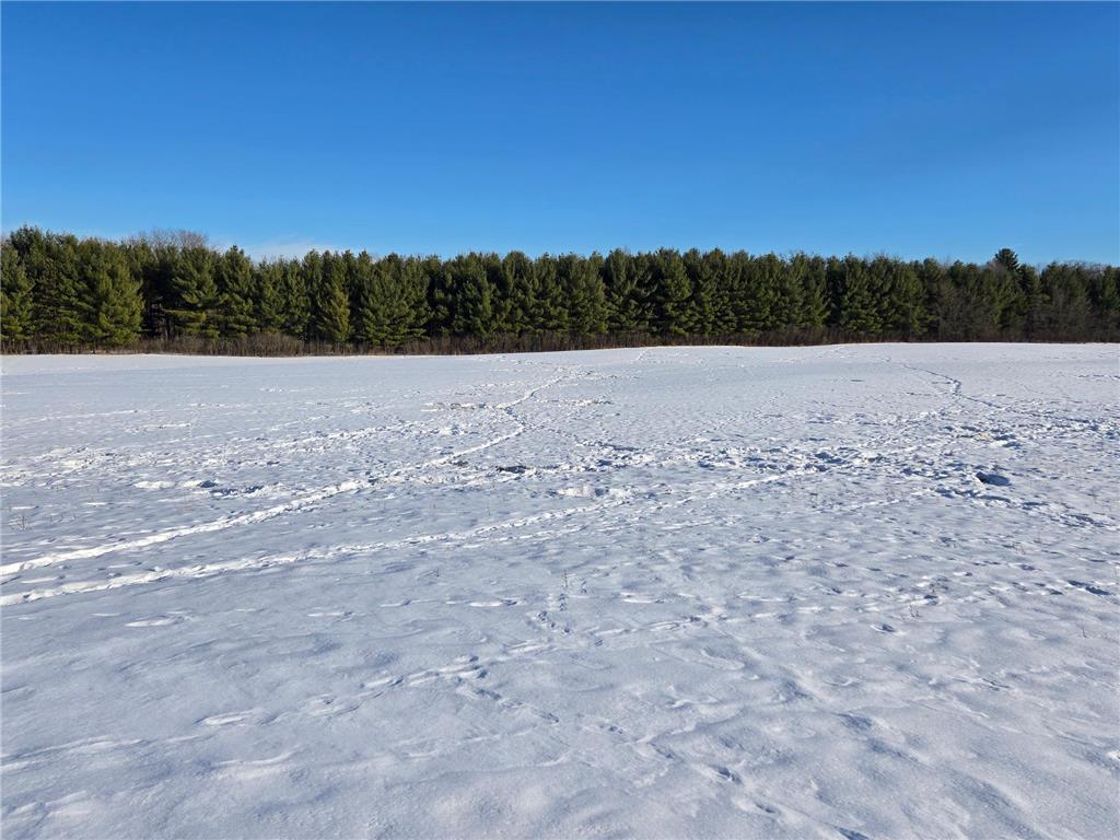 20.05 Acres County Road N Hay River Twp WI 54772 7014032 image3