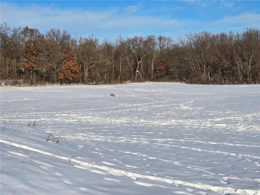 20.05 Acres County Road N Hay River Twp WI 54772 7014032 image5