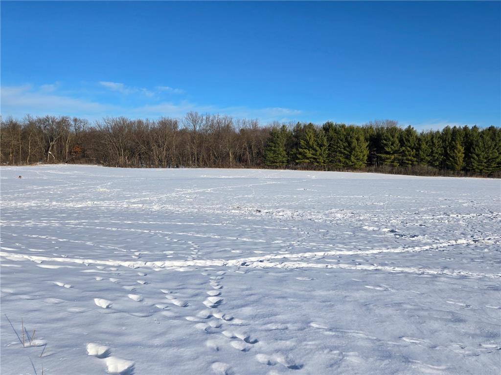 20.05 Acres County Road N Hay River Twp WI 54772 7014032 image6