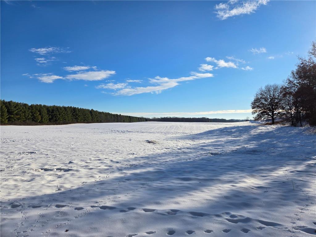 20.05 Acres County Road N Hay River Twp WI 54772 7014032 image7