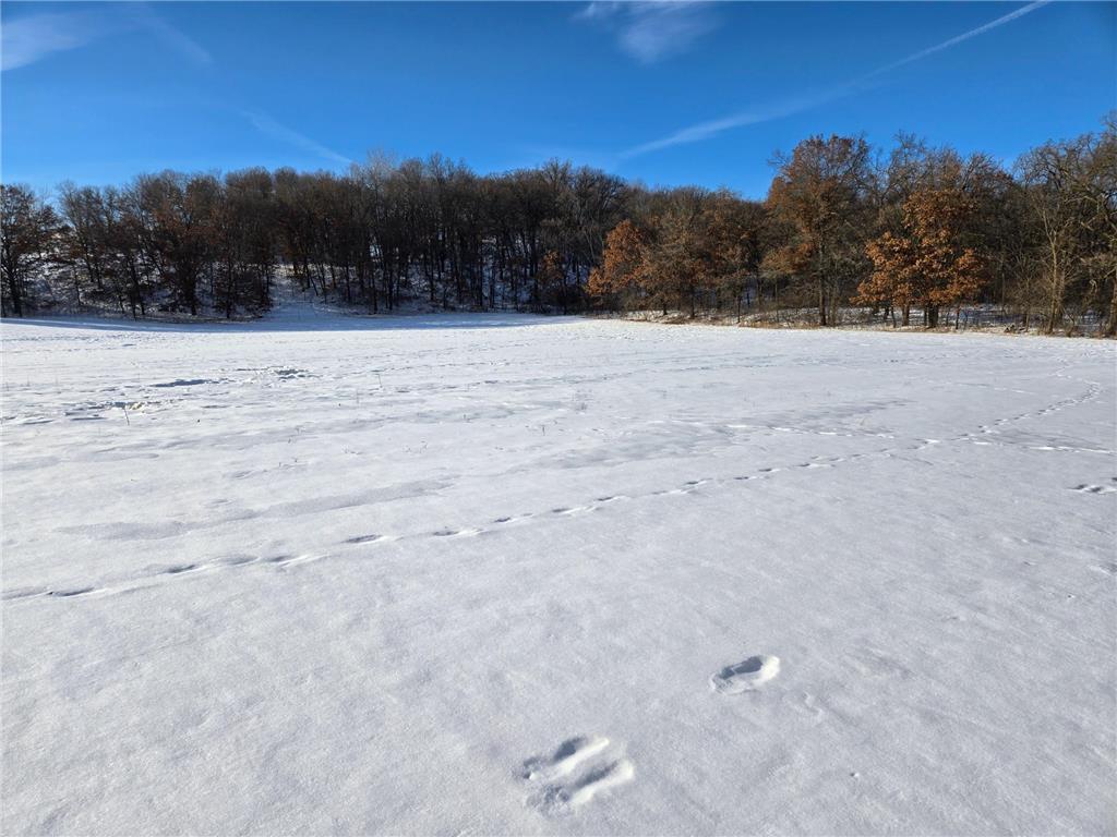 20.05 Acres County Road N Hay River Twp WI 54772 7014032 image8
