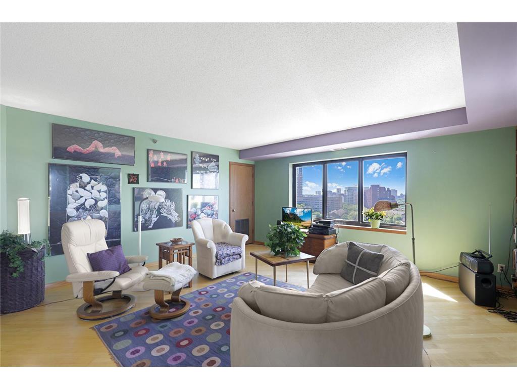 20 2nd Street NE #P1101 Minneapolis MN 55413 - Mississippi 7095264 image16