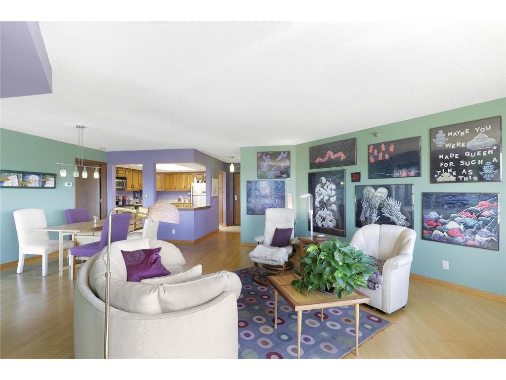 20 2nd Street NE #P1101 Minneapolis MN 55413 - Mississippi 7095264 image19