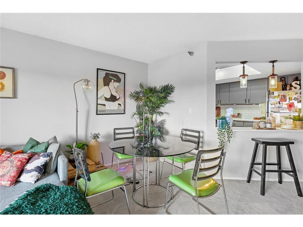 20 2nd Street NE #P1606 Minneapolis MN 55413 - Mississippi 7043231 image11