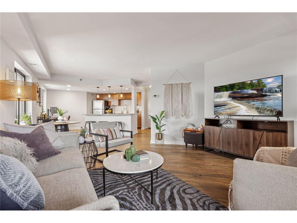 20 2nd Street NE #P2202 Minneapolis MN 55413 6671981 image1