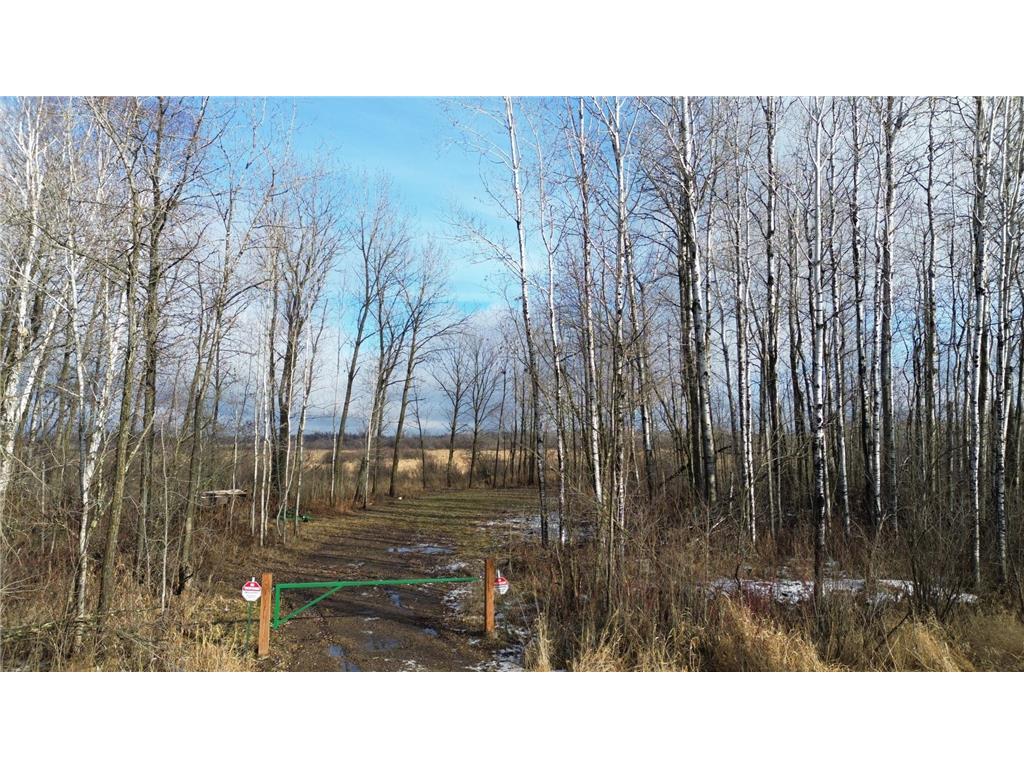 20 Acres 360th Street Aitkin MN 56431 6643217 image1