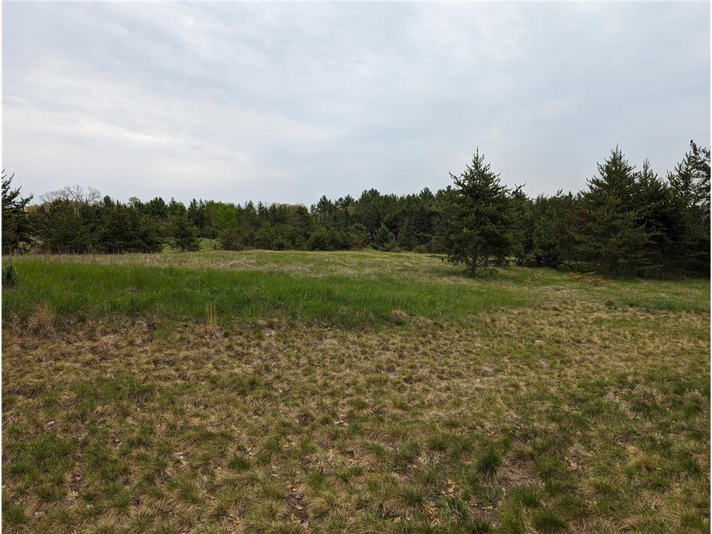 20 Acres County Road 3 N Fifty Lakes MN 56448 6518558 image1