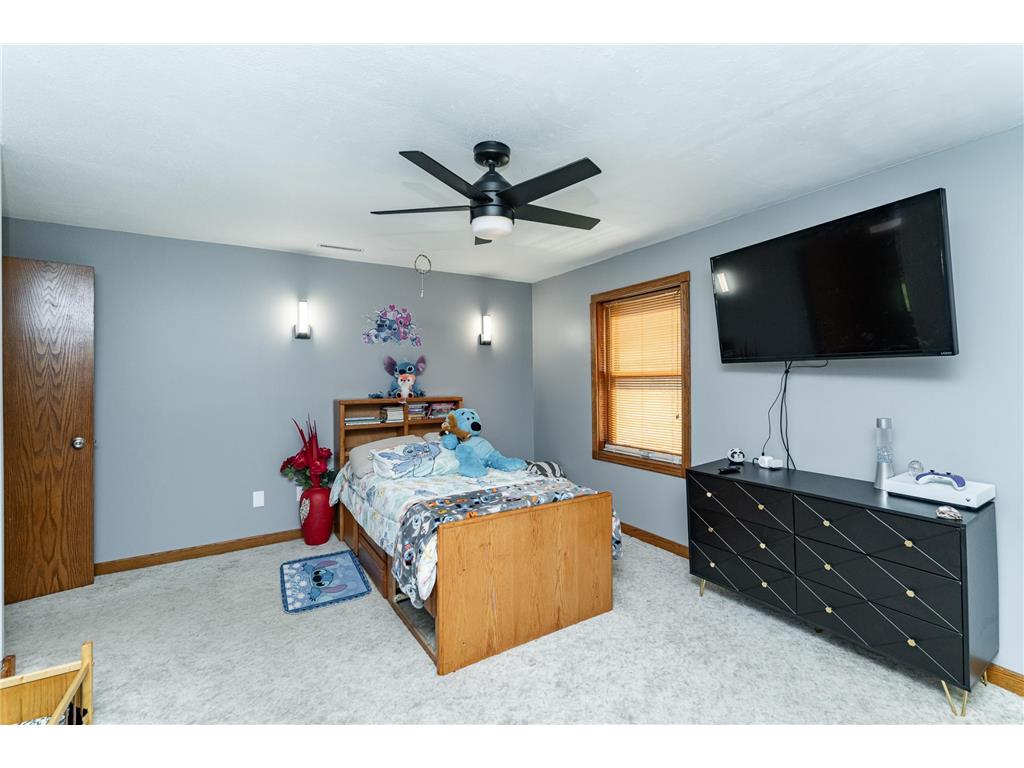 20 Amy Ln Mantorville MN 55955 6825843 image31