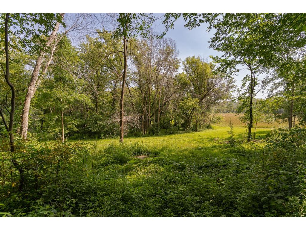 20 Amy Ln Mantorville MN 55955 6825843 image43