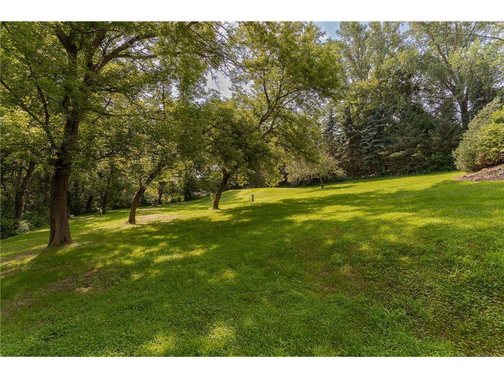 20 Amy Ln Mantorville MN 55955 6825843 image45