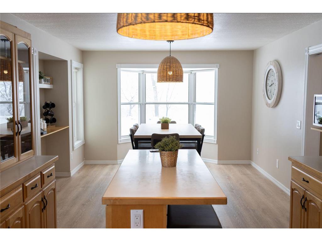 20 Lake Avenue Madison Lake MN 56063 - Madison Lake 6816426 image18