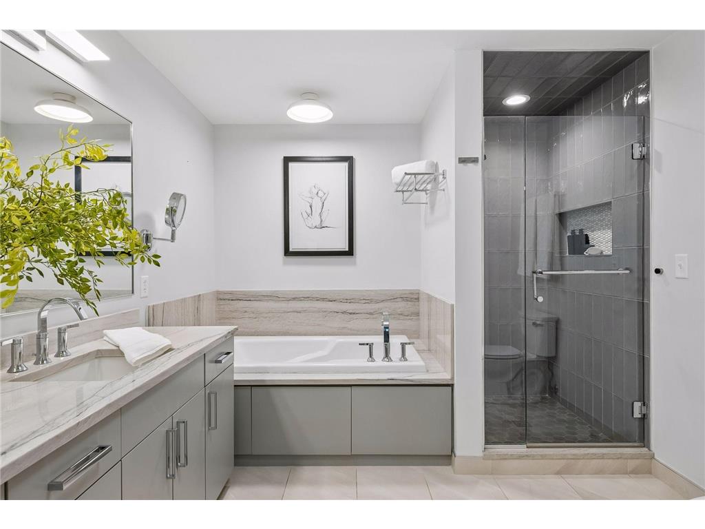 200 Park Avenue #110 Minneapolis MN 55415 7042566 image38