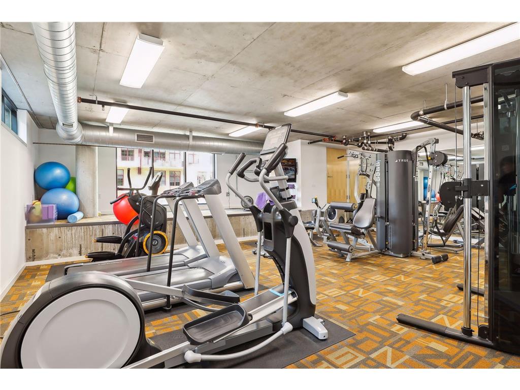 200 Park Avenue #110 Minneapolis MN 55415 7042566 image68