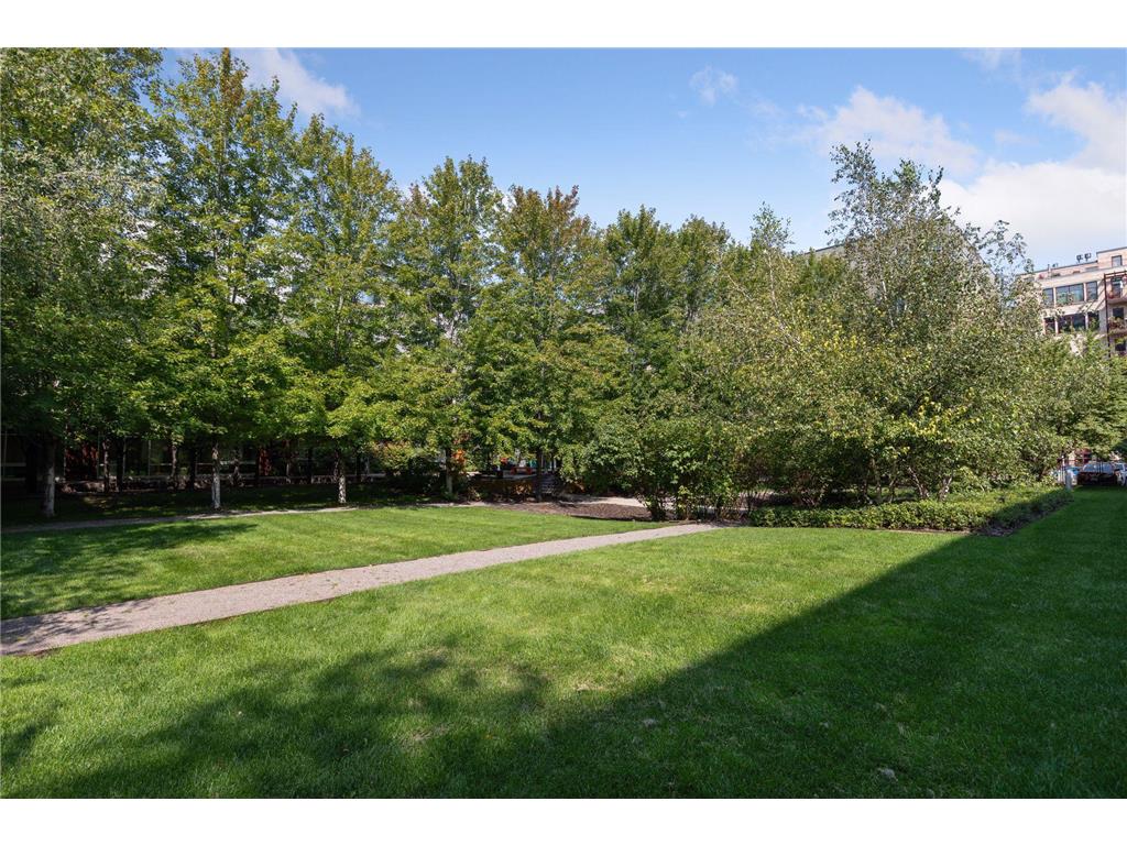200 Park Avenue #110 Minneapolis MN 55415 7042566 image73