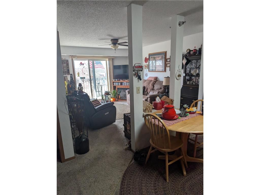 200 S 3rd Street #206 Le Sueur MN 56058 7057289 image2