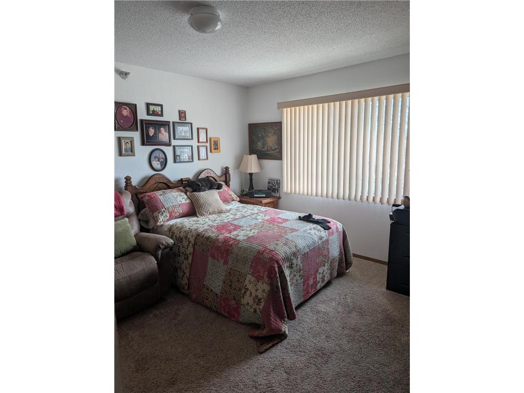 200 S 3rd Street #206 Le Sueur MN 56058 7057289 image6