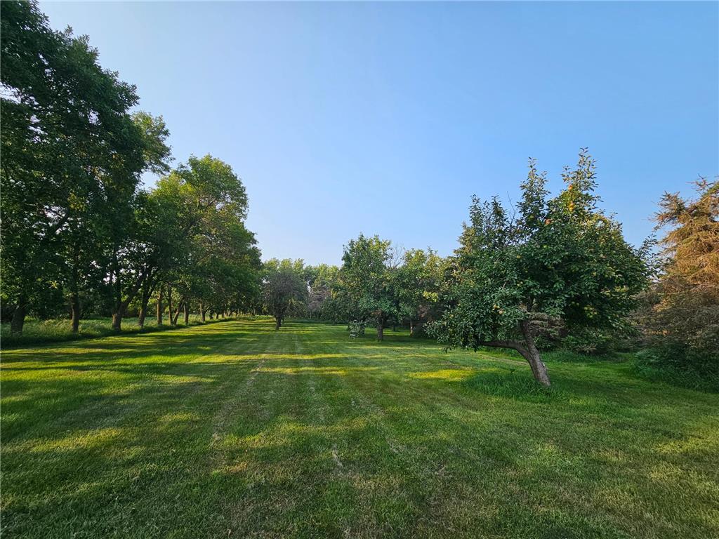 200 Spring View Drive Edgerton MN 56128 6807211 image33