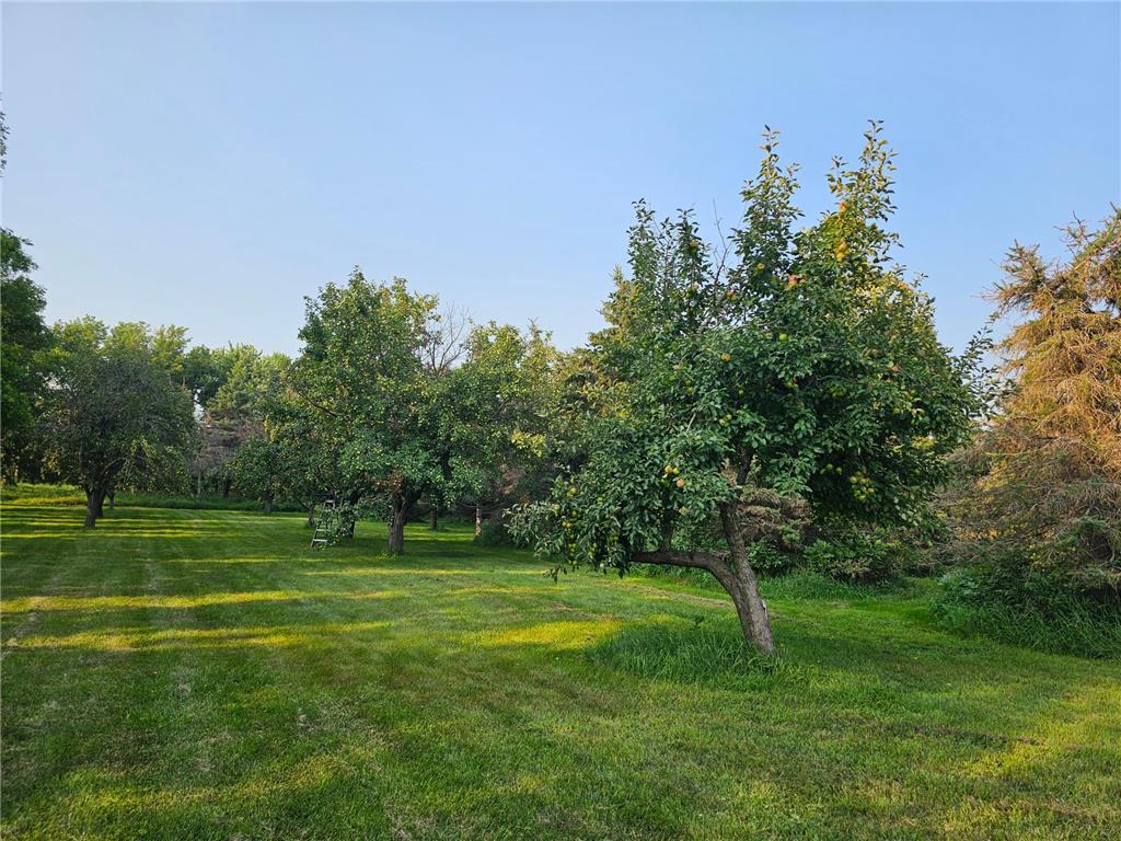 200 Spring View Drive Edgerton MN 56128 6807211 image35