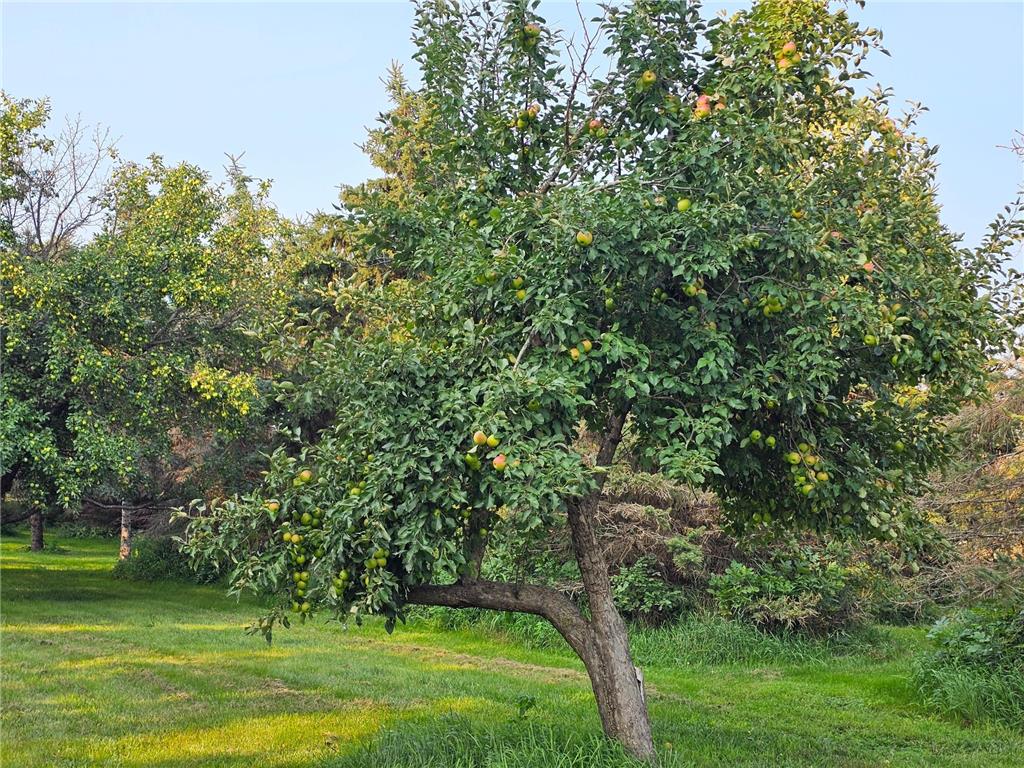 200 Spring View Drive Edgerton MN 56128 6807211 image36