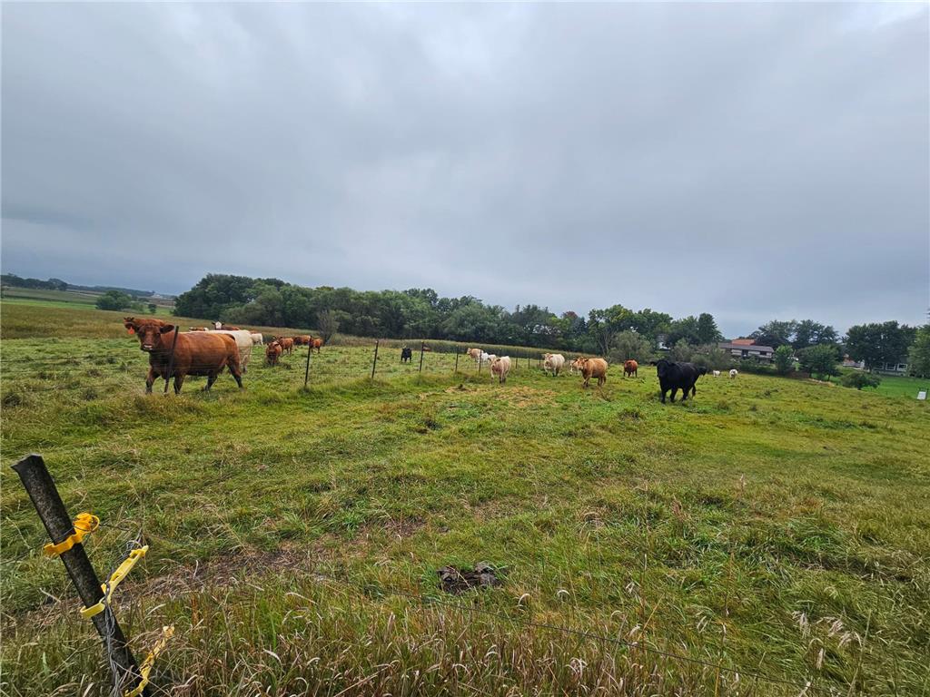 200 Spring View Drive Edgerton MN 56128 6807211 image39