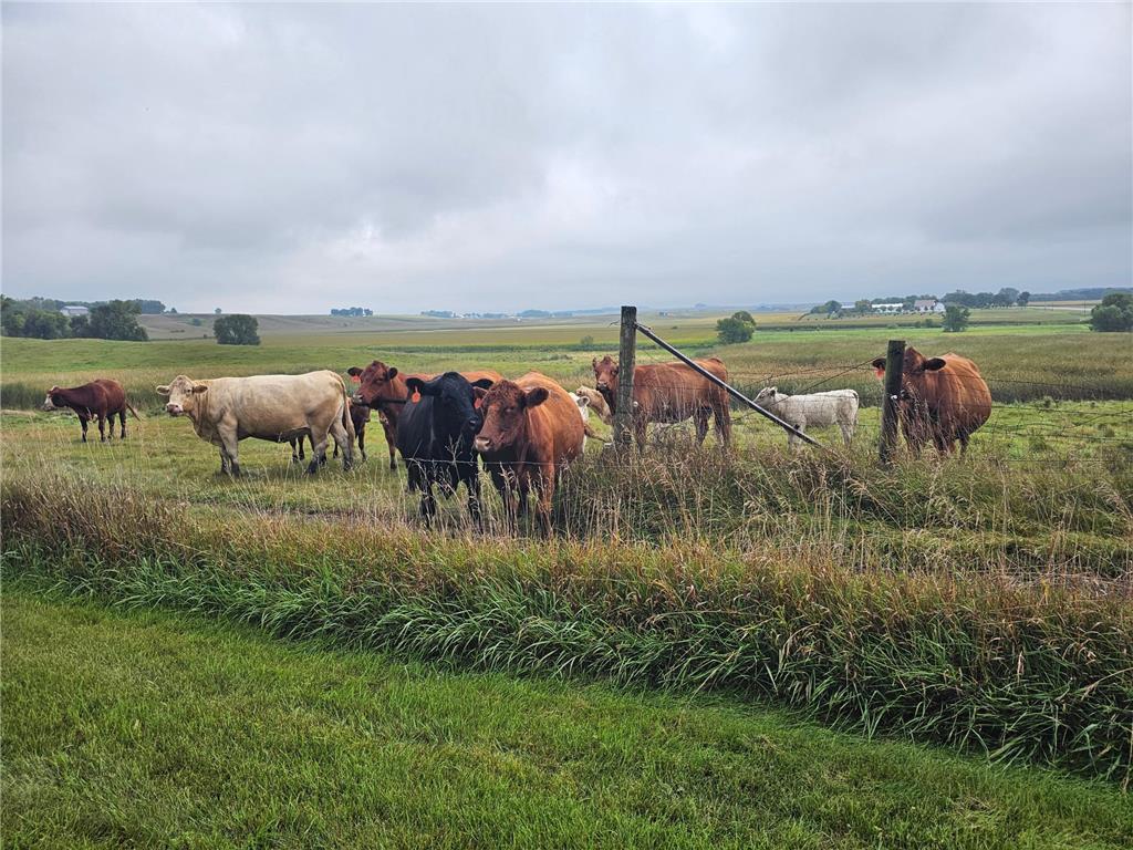 200 Spring View Drive Edgerton MN 56128 6807211 image42