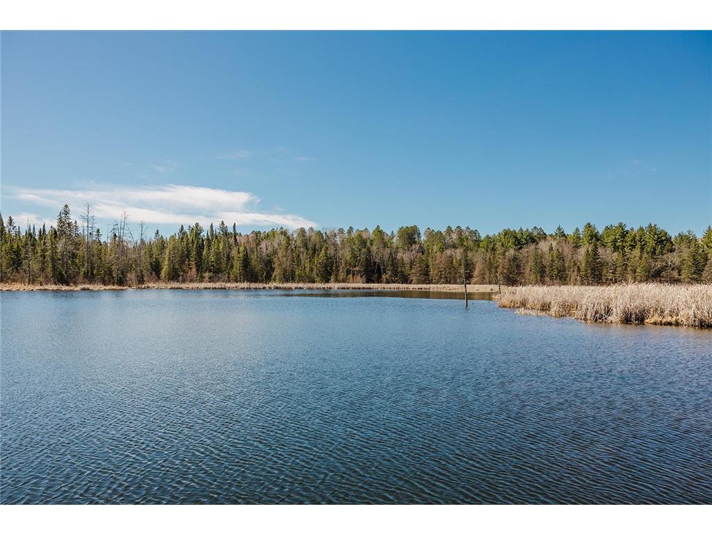 20008 County 84 White Oak Twp MN 56433 - Doe 7040808 image23