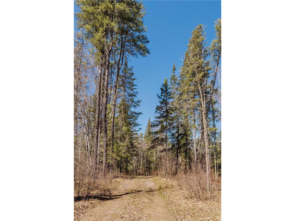 20008 County 84 White Oak Twp MN 56433 - Doe 7040808 image36