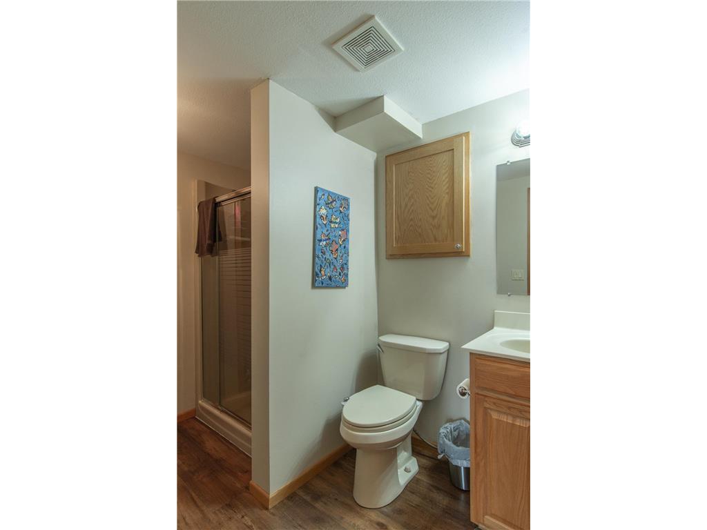 20010 Reed Court NW Liberty Twp MN 56601 - Long Lake 7064907 image36