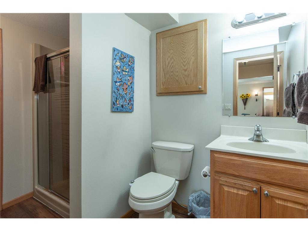 20010 Reed Court NW Liberty Twp MN 56601 - Long Lake 7064907 image37