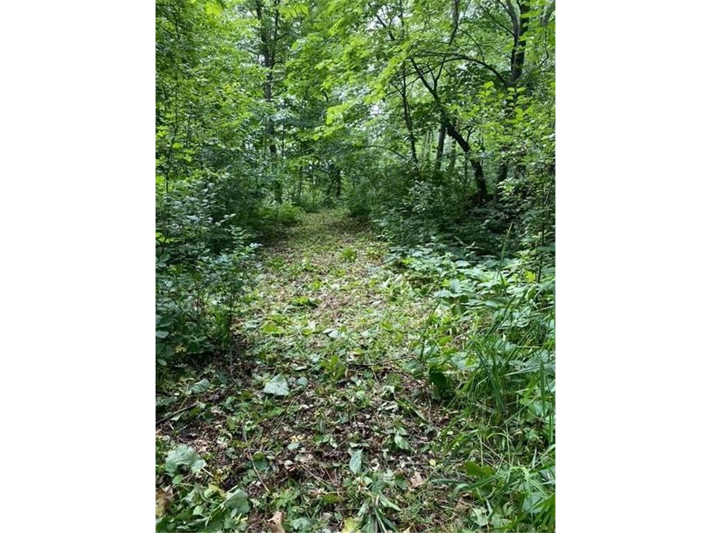 20011 Nevada Avenue Credit River Twp MN 55372 6826601 image7