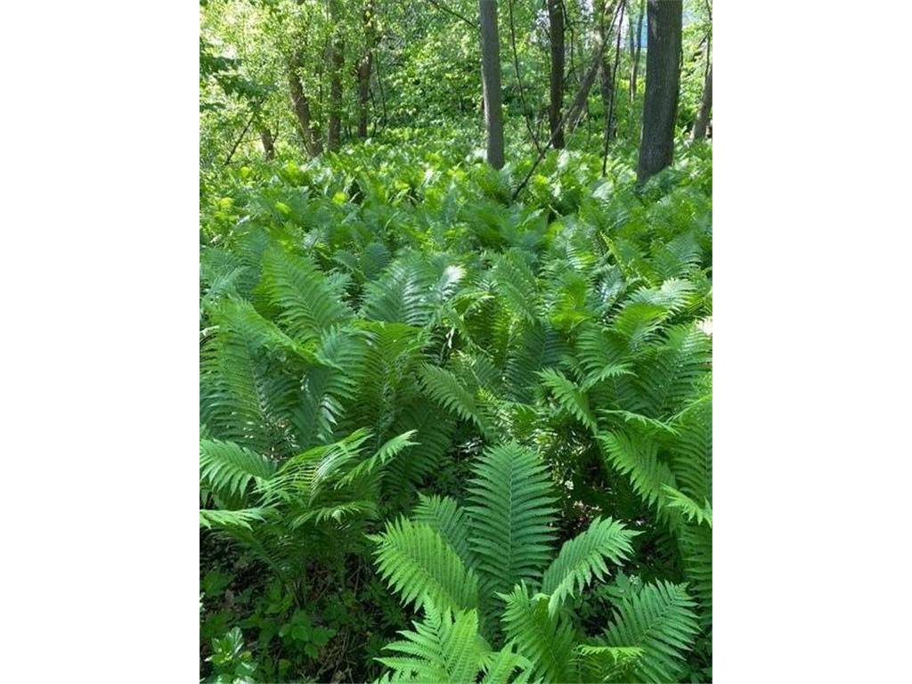 20011 Nevada Avenue Credit River Twp MN 55372 6826601 image9