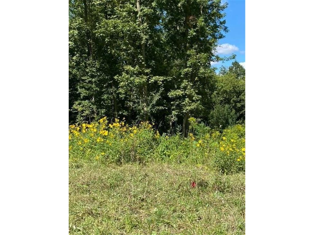 20011 Nevada Avenue Credit River Twp MN 55372 7036728 image2