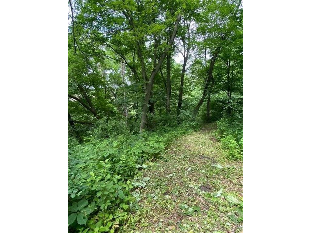 20011 Nevada Avenue Credit River Twp MN 55372 7036728 image3