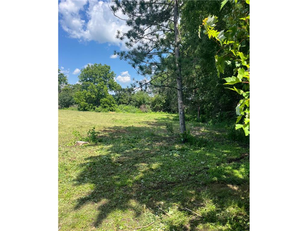 20026 Icenic Trail Lakeville MN 55044 6736669 image4