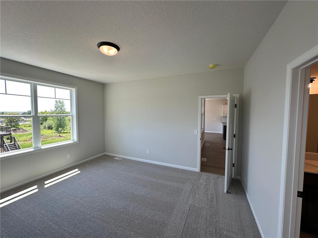 20027 Glarus Lane Lakeville MN 55044 7108108 image21