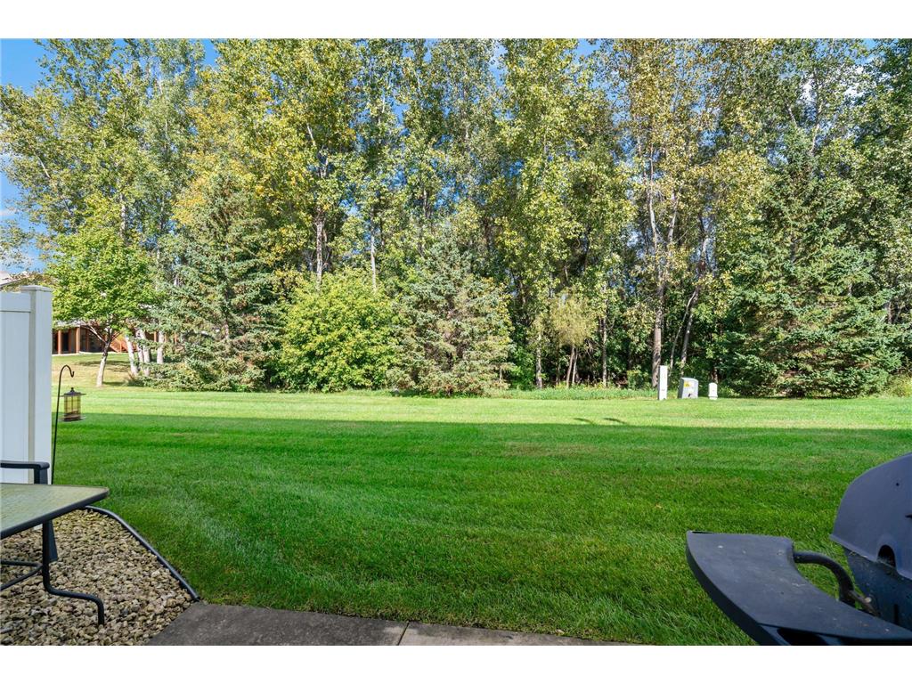 20048 Cabrilla Way Empire Twp MN 55024 7006917 image28