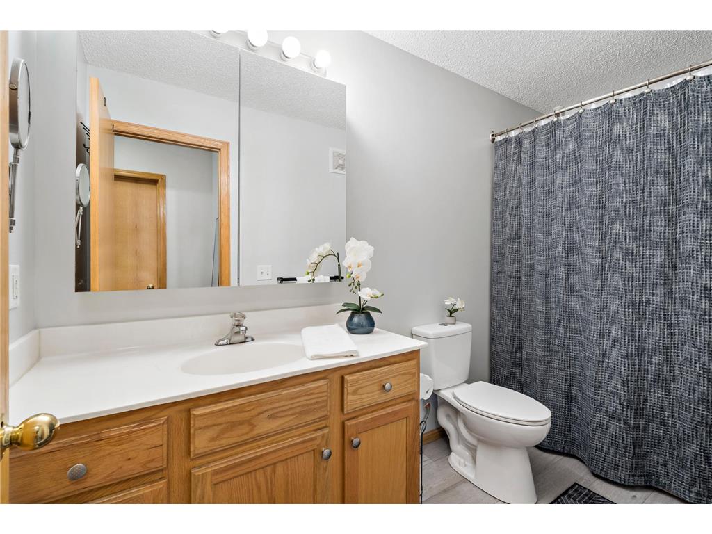 20048 Cabrilla Way Empire Twp MN 55024 7006917 image9