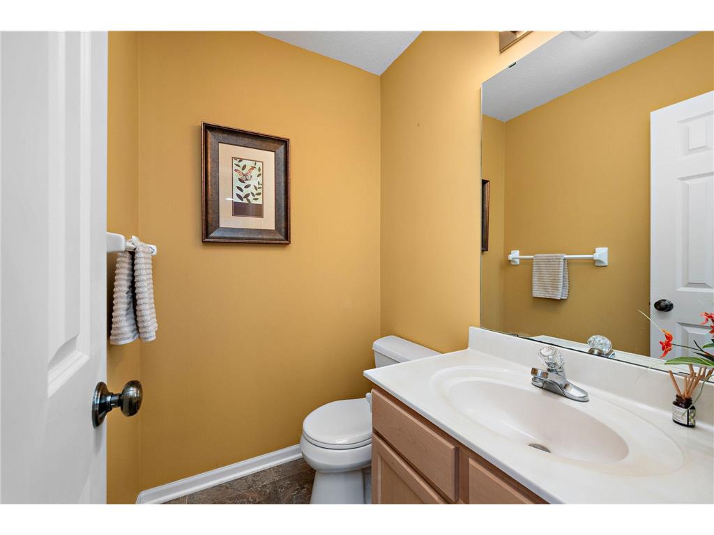 2006 Forest Ridge Lane Buffalo MN 55313 7085378 image15