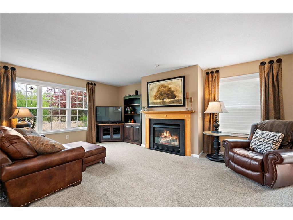 2006 Forest Ridge Lane Buffalo MN 55313 7085378 image3