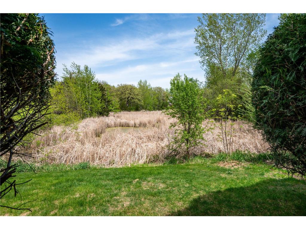 2006 Forest Ridge Lane Buffalo MN 55313 7085378 image30