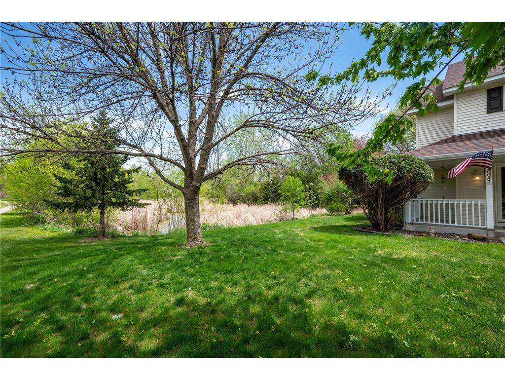 2006 Forest Ridge Lane Buffalo MN 55313 7085378 image31