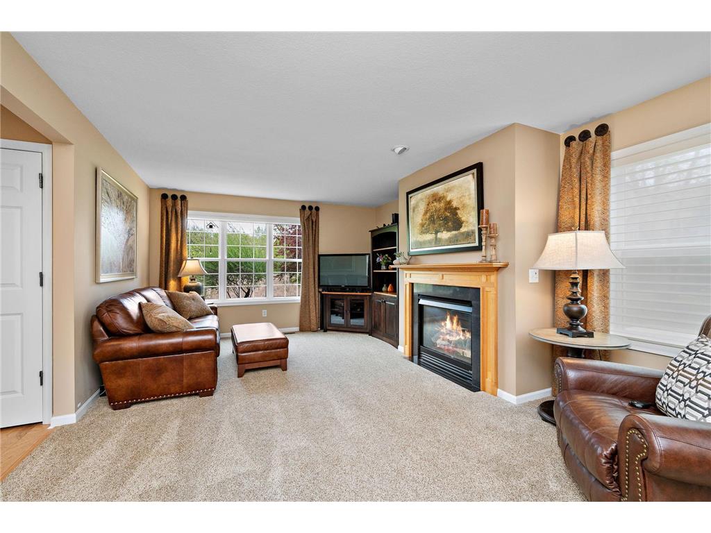 2006 Forest Ridge Lane Buffalo MN 55313 7085378 image4