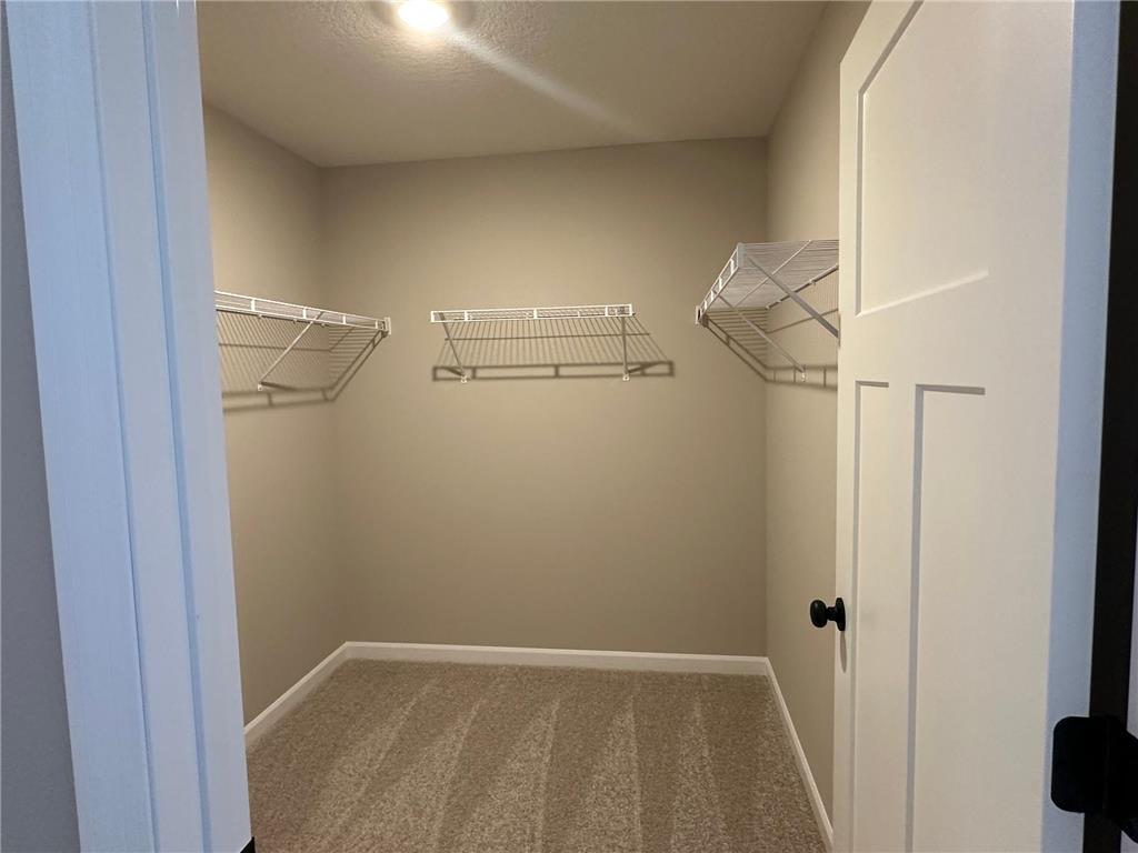 20064 Glenbrook Path Lakeville MN 55044 7015164 image31