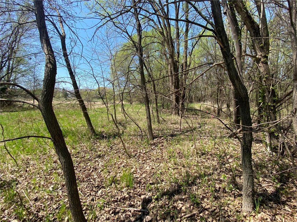 20072 Lander Street NW Elk River MN 55330 6715317 image12