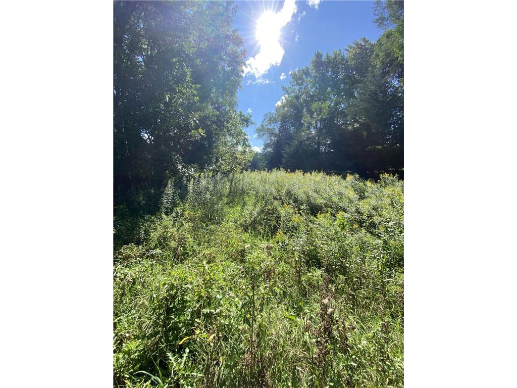 20072 Lander Street NW Elk River MN 55330 6715317 image21